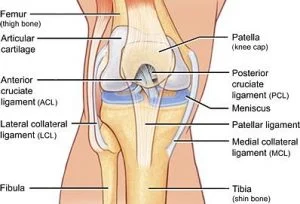 Rodillera ortopédica mensico
